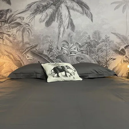Nuit Chez Louis, Centre 罗德兹